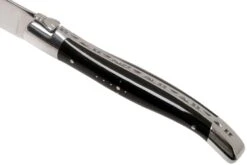 Laguiole En Aubrac Juego De Cuchillos Para Carne 6-unidades De Cuerno De Búfalo 13 Laguiole En Aubrac Juego De Cuchillos Para Carne 6-unidades De Cuerno De Búfalo -Morakniv || SOG || Böker Ventas AU62C99BUIH 06 laguiole en aubrac v202111