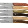 Claude Dozorme Le Thiers Juego De Cuchillos Para Carne 6-piezas, Diferentes Tipos De Madera