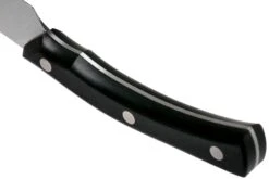 Due Cigni Arne Line Cuchillo Dentado Para Carne 11 Cm, Negro -Morakniv || SOG || Böker Ventas DG2C907 04 due cigni arne