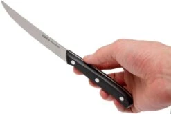 Eden Essentials Juego De Cuchillos Para Carne 4-unidades, 2000-S02 16 Eden Essentials Juego De Cuchillos Para Carne 4-unidades, 2000-S02 -Morakniv || SOG || Böker Ventas EQ2000 S02 07 eden essentials eq2000 s02 07