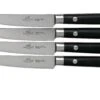 Lion Sabatier Leonys Juego De Cuchillos Para Carne 4 Piezas, 904284 -Morakniv || SOG || Böker Ventas SA904284 01 lion sabatier