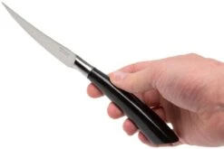 Saladini 6-delige Juego De Cuchillos Para Carne 23 Cm, Cuerno De Búfalo -Morakniv || SOG || Böker Ventas SL4001PB6 07 saladini sl4001pb6 07