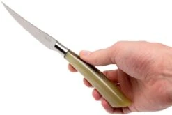 Saladini 6-delige Juego De Cuchillos Para Carne 23 Cm, Cuerno De Buey -Morakniv || SOG || Böker Ventas SL4001PC6 07 saladini sl4001pc6 07