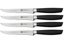 Zwilling All Star 1022591, Juego De 4 Cuchillos Para Carne, Plata